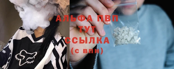 индика Алексин