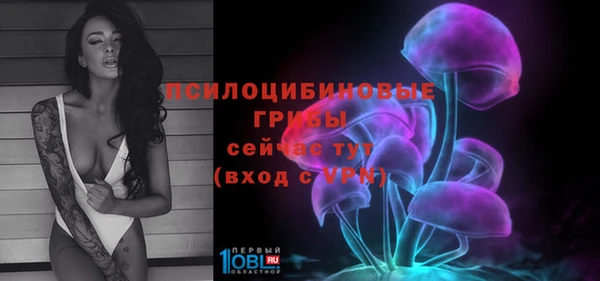 индика Алексин