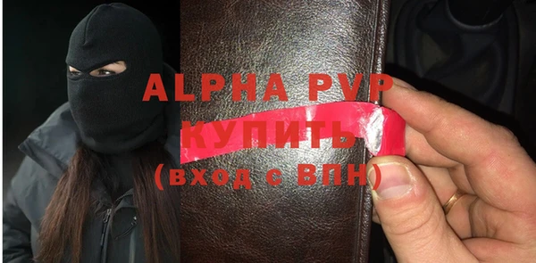 индика Алексин