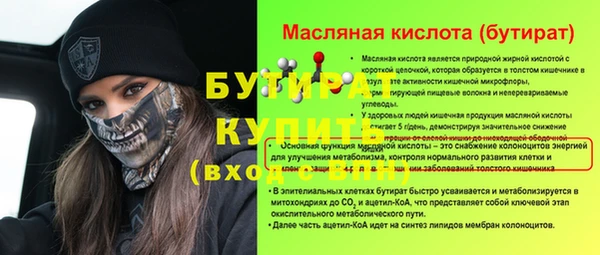 индика Алексин