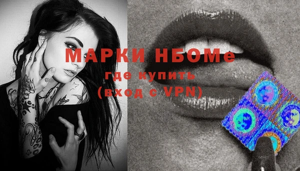 индика Алексин